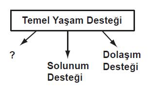 Soru 44 görseli: Aşağıda soru işareti (?) ile gösterilen ve temel yaşam desteğinin 1. aşaması olan uygul…