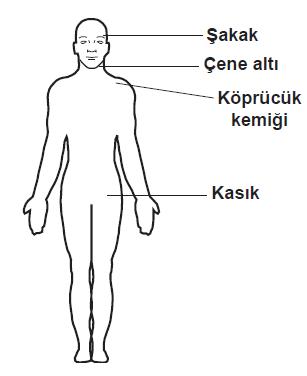 Soru 25 görseli: Omuz ve koldaki kanamalarda, şekilde gösterilen hangi bölgeye basınç uygulanmalıdır?