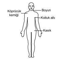 Soru 25 görseli: Bacaktaki kanamalarda şekilde gösterilen hangi bölgeye basınç uygulanmalıdır?